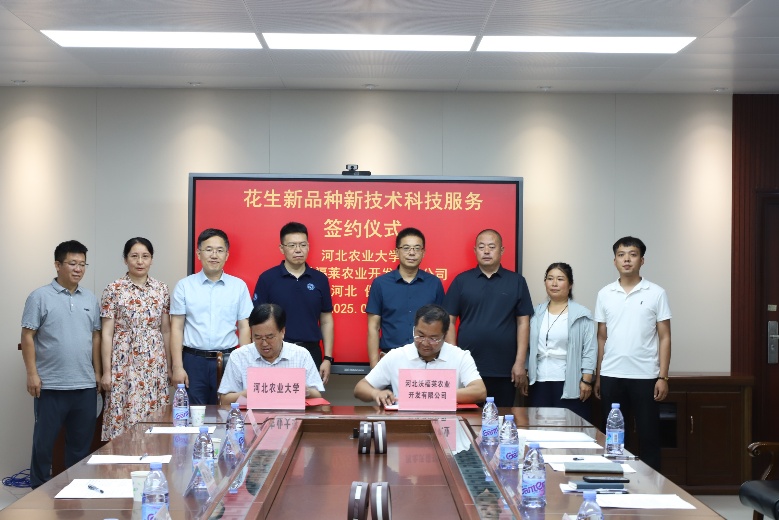 “冀农花18号”成果转让暨花生新品种新技术科技服务签约仪式在我校圆满举行