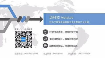 石油化工集团新产品开发中的技术需求与咨询策略